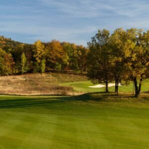 Basic/Premium členství