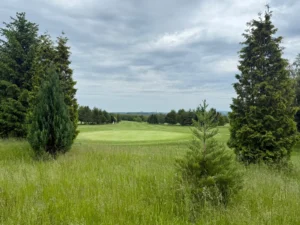 Golf club Davis, GC Molitorov