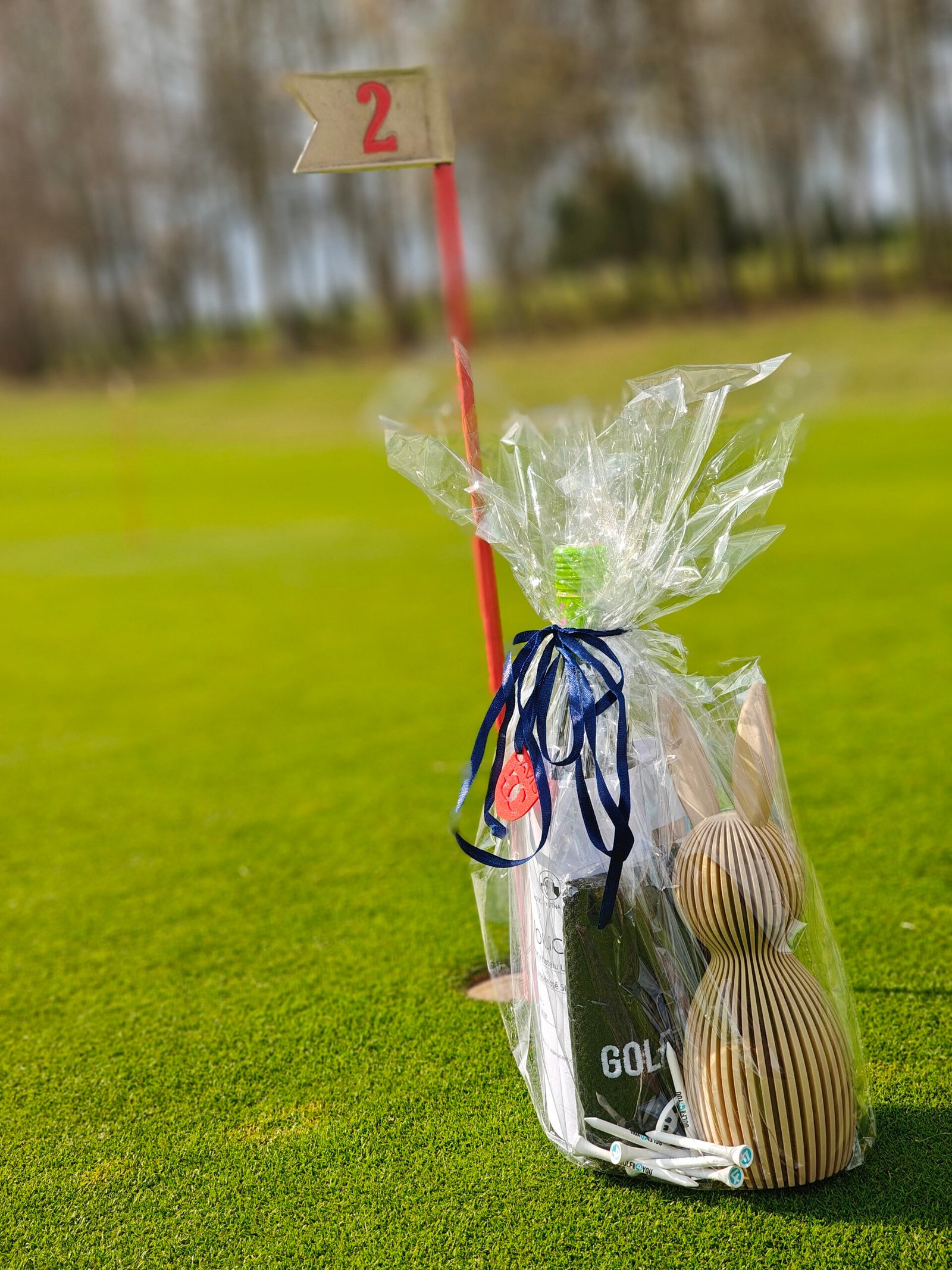 GCDavis Tour 2026 #1 Molitorov